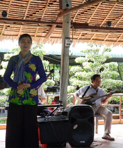 Vietnamese traditional music